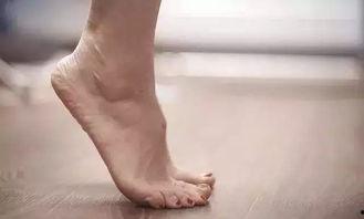 成人踮脚视频教程,成人踮脚操教程详解